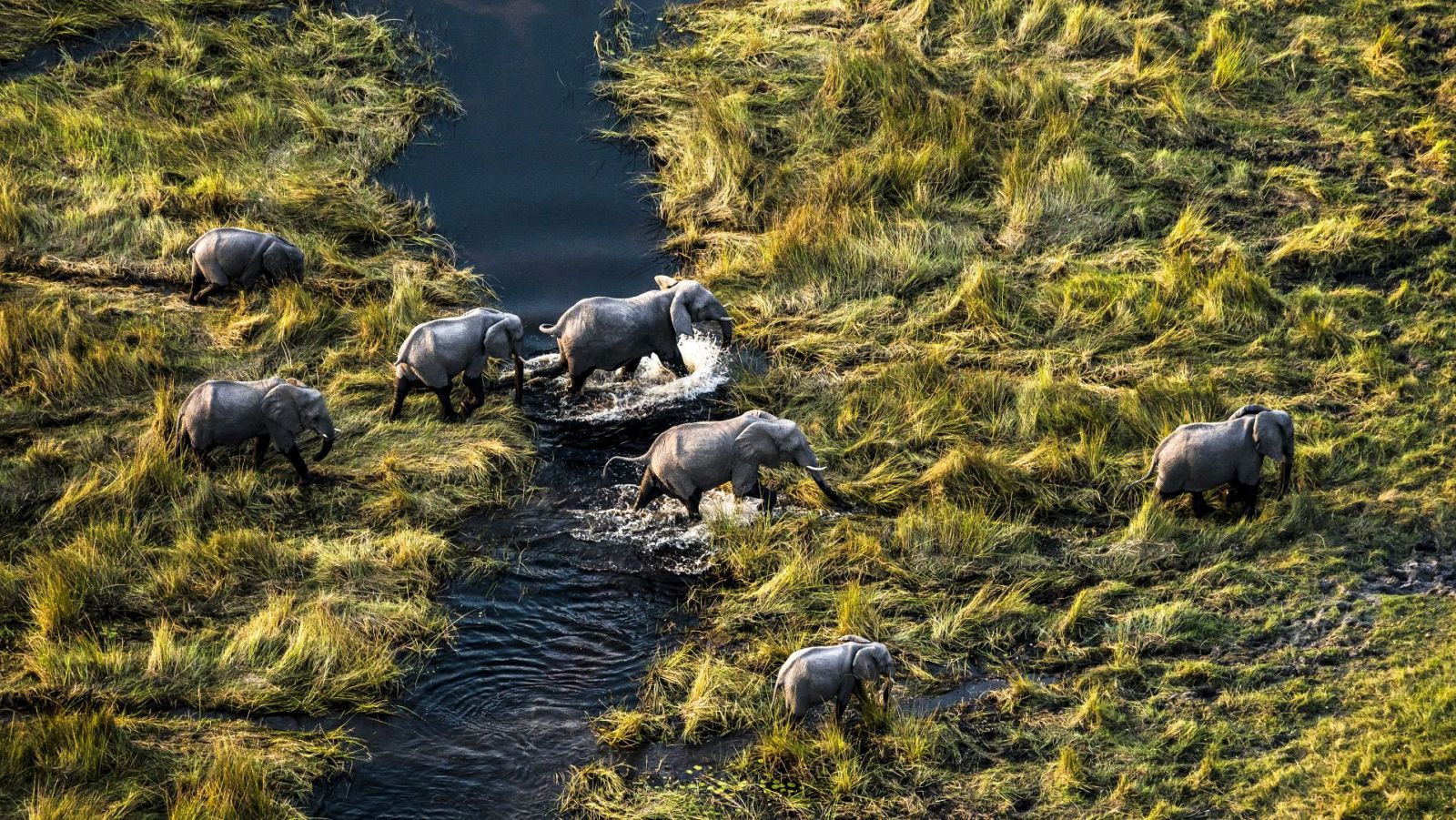 Somos documentales - Desde las alturas - ver ahora
