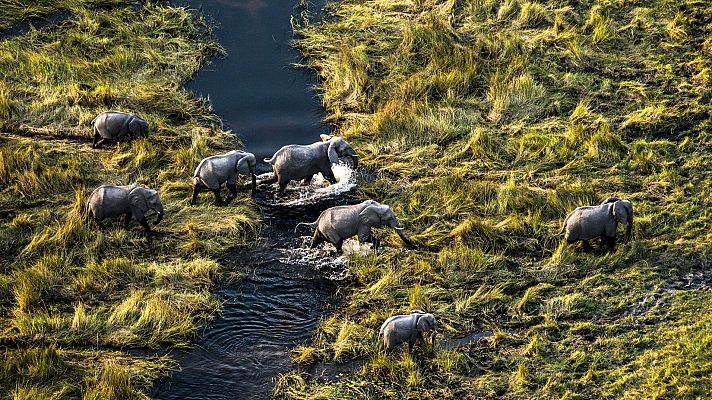 Somos Documentales - Desde las alturas