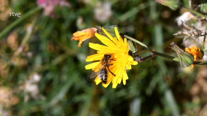 Agrosfera - Agrosfera - 16/03/24