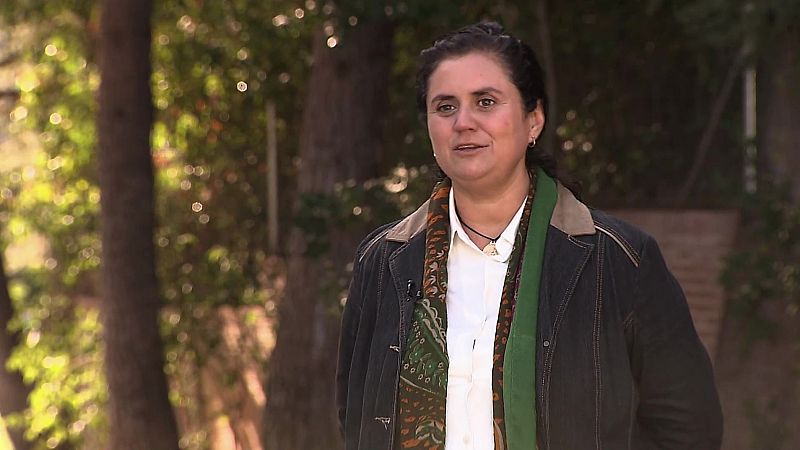 Testimonio - Ecología integral - ver ahora