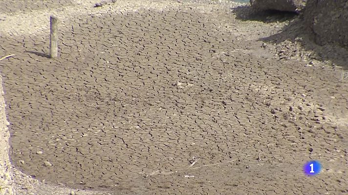 L'Informatiu - Com s'adapten les ciutats al canvi climàtic?