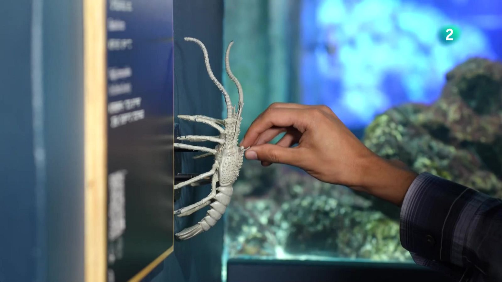 Acuario Parque Explora accesible a personas sordas - En lengua de signos | Ver