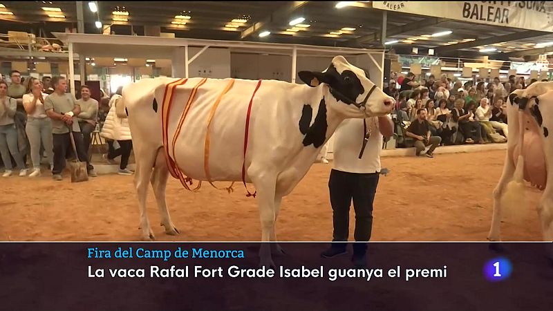 La Fira del Camp | Ver