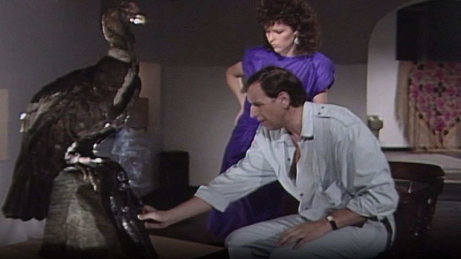 Arxiu TVE Catalunya - Històries de cara i creu - El condor reial recorre les altures del somni - Veure ara