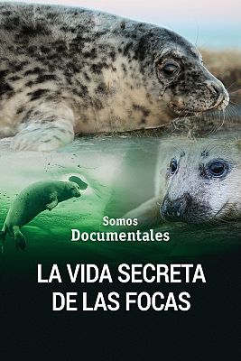 Som Documentals - La vida secreta de les foques