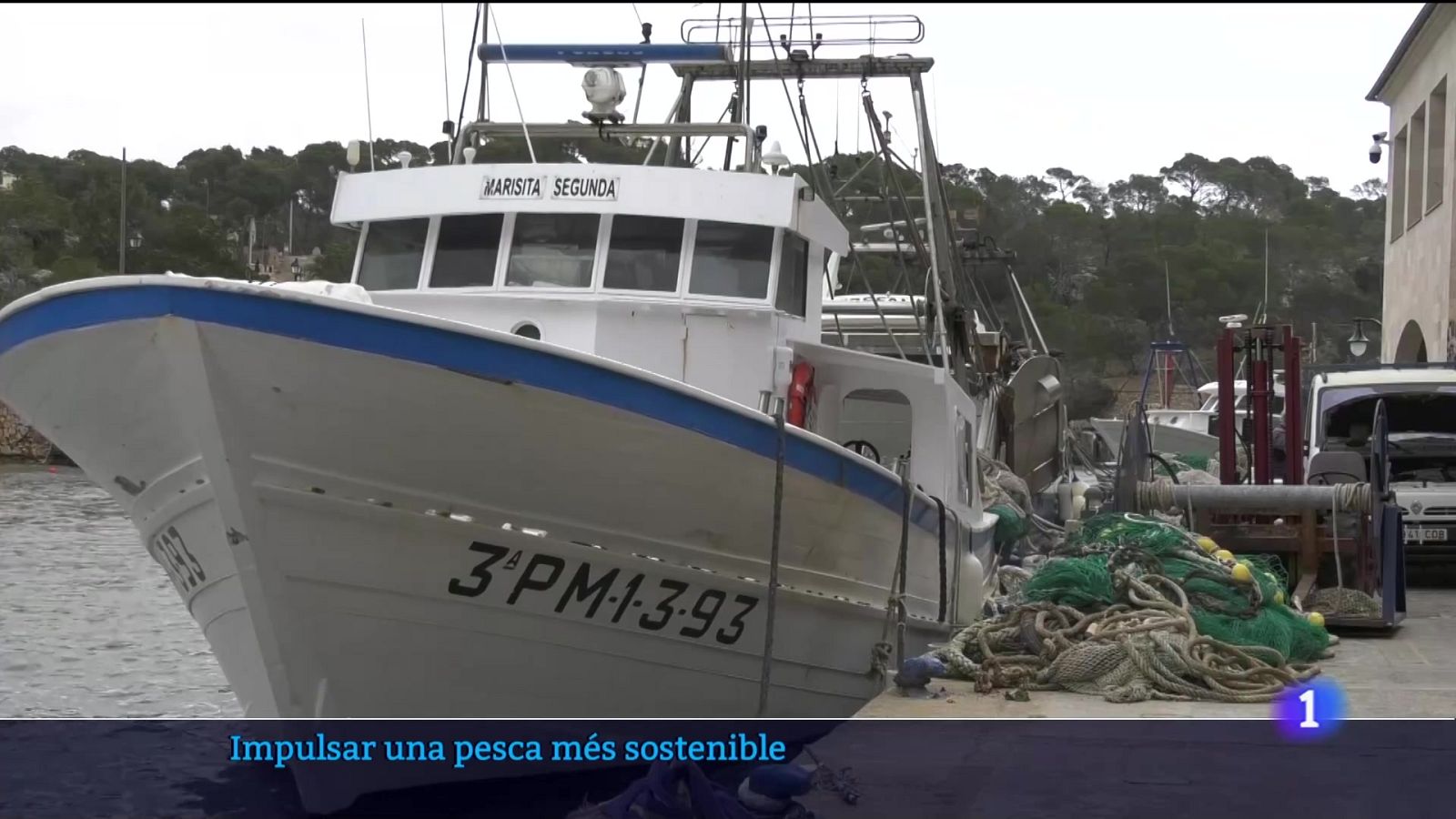Pesca sostenible | Ver