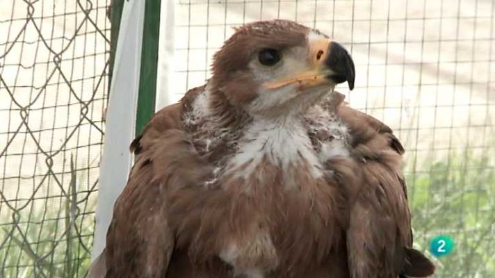 Biodiario - Biodiario - 05/12/12