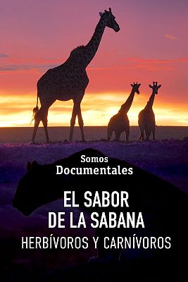 Som Documentals - El repte de la Sabana. Herbívors i carnívors: Festins creuats