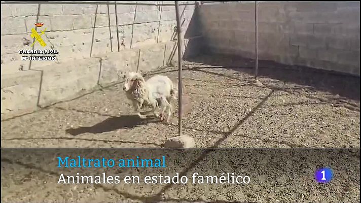 Telecanarias - Canarias en 2' - 20/03/2024