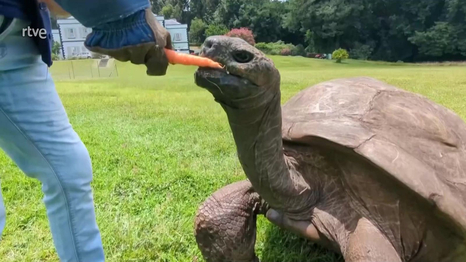 Aquí la Tierra - 20/03/24 - ver ahora