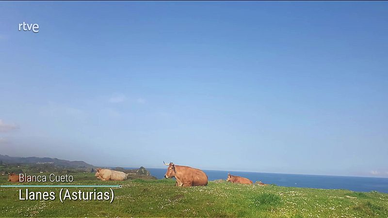 Posibles chubascos localmente fuertes en el entorno del Estrecho - ver ahora