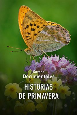 Historias de primavera