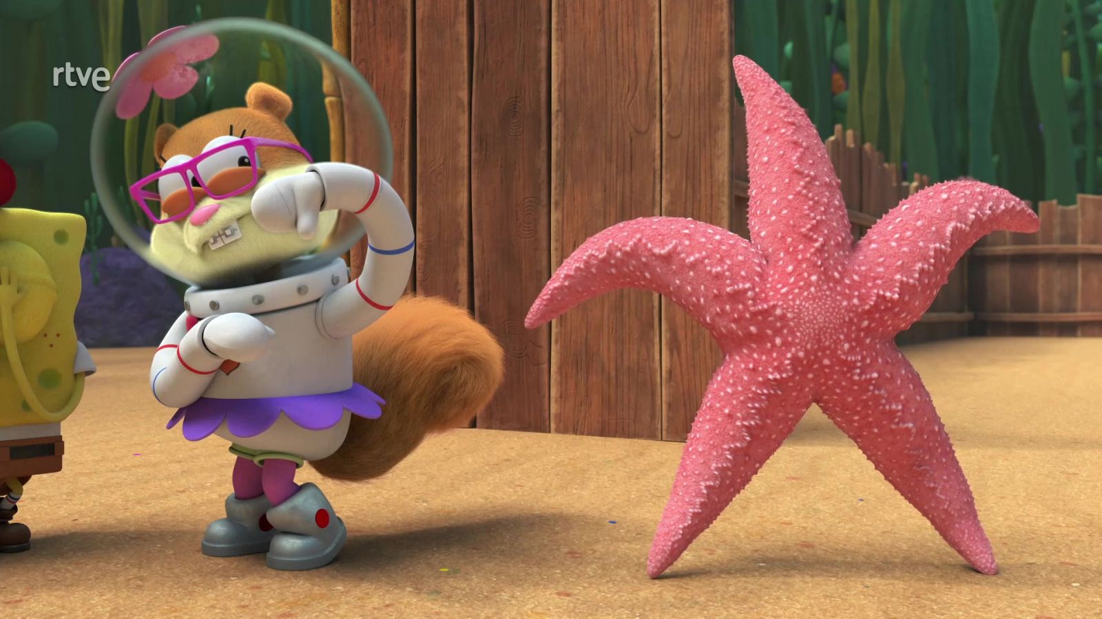 Kampamento Koral - Buscando el campamento nudista - Kampamento Koral | Ver