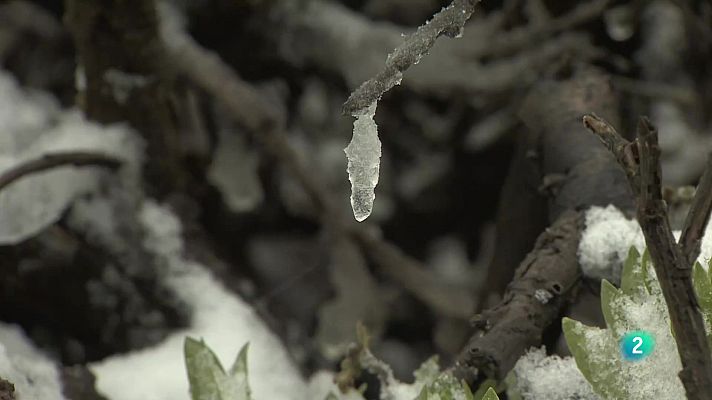 Telecanarias - Telecanarias 2 - 22/03/2024