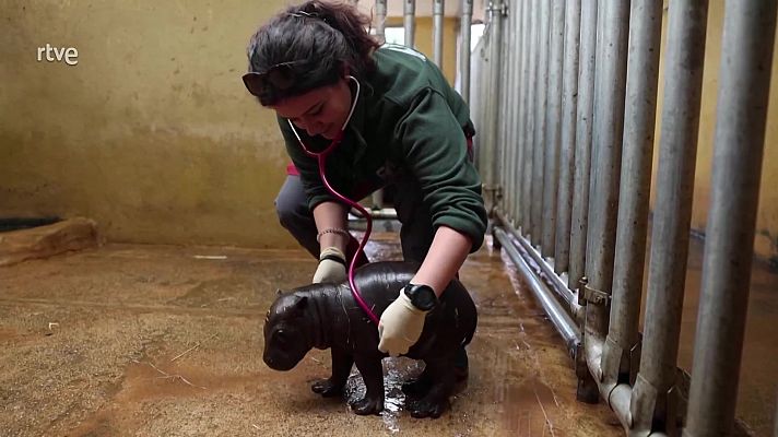 Aquí la Tierra - Aquí la Tierra - 22/03/24