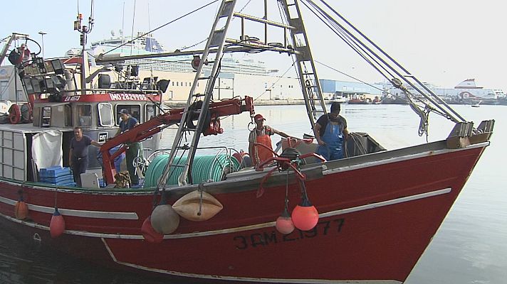 Agrosfera - Agrosfera - 23/03/24