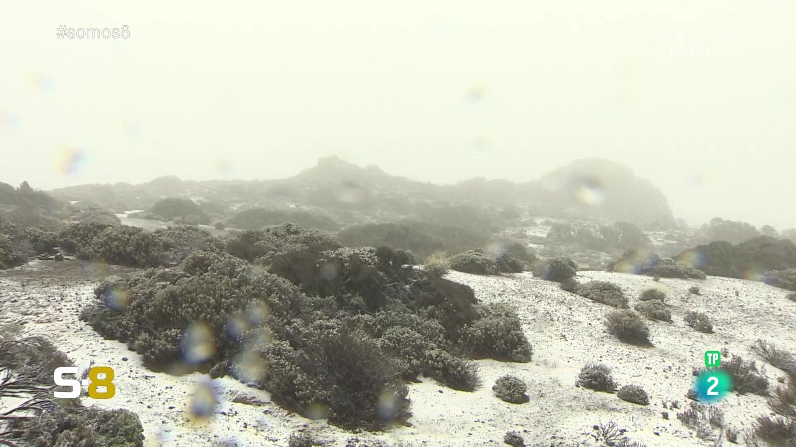 Somos 8 - 22/03/2024 - Somos 8 | Ver