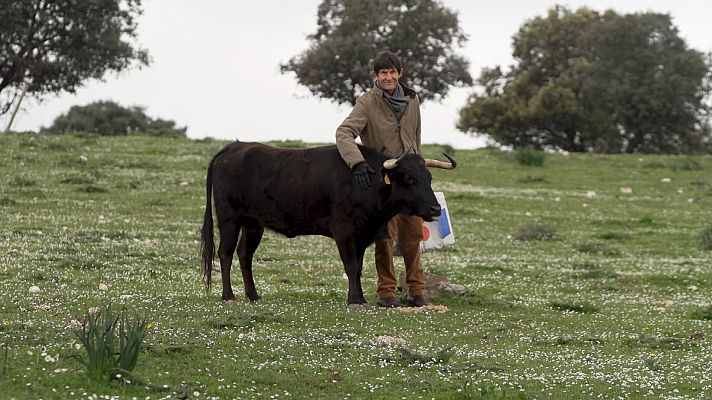 Tendido cero - Tendido Cero - 23/03/24