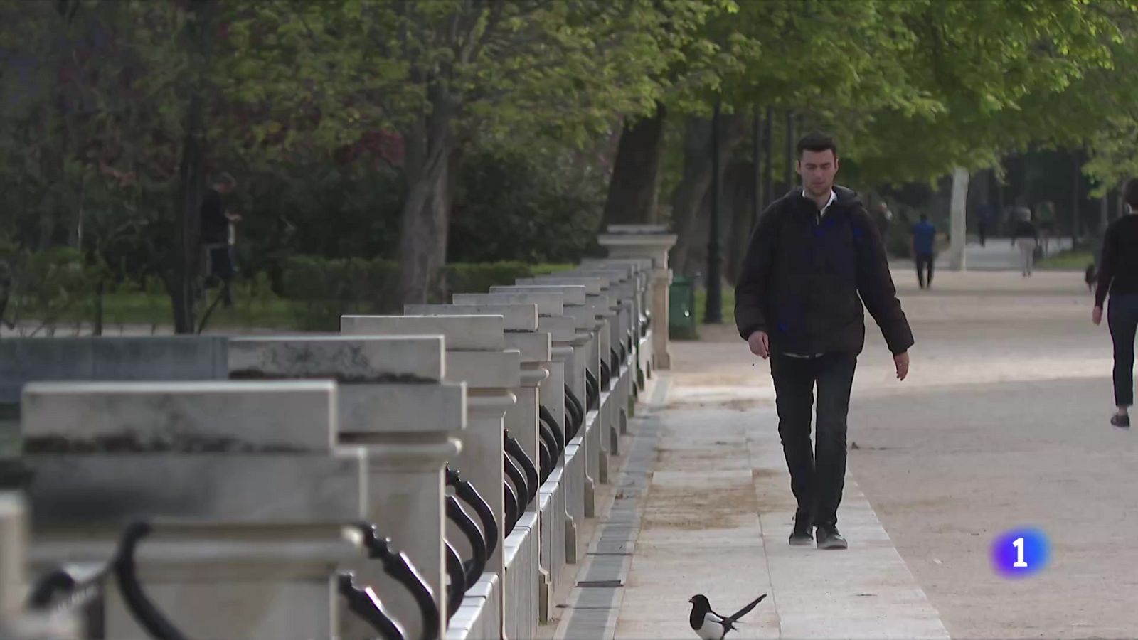 Ruta Bronston: cine histórico de espada y sandalia | Ver