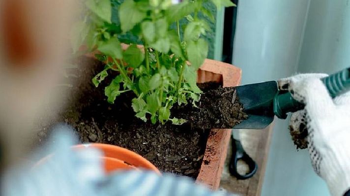 Va de verd - Com crear el teu propi planter