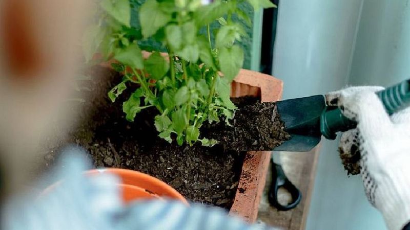 Com crear el teu propi planter - Va de Verd | RTVE Catalunya - Va de verd | Veure