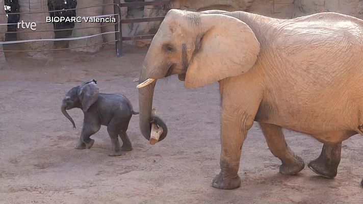 Aquí la Tierra - Aquí la Tierra - 27/03/24