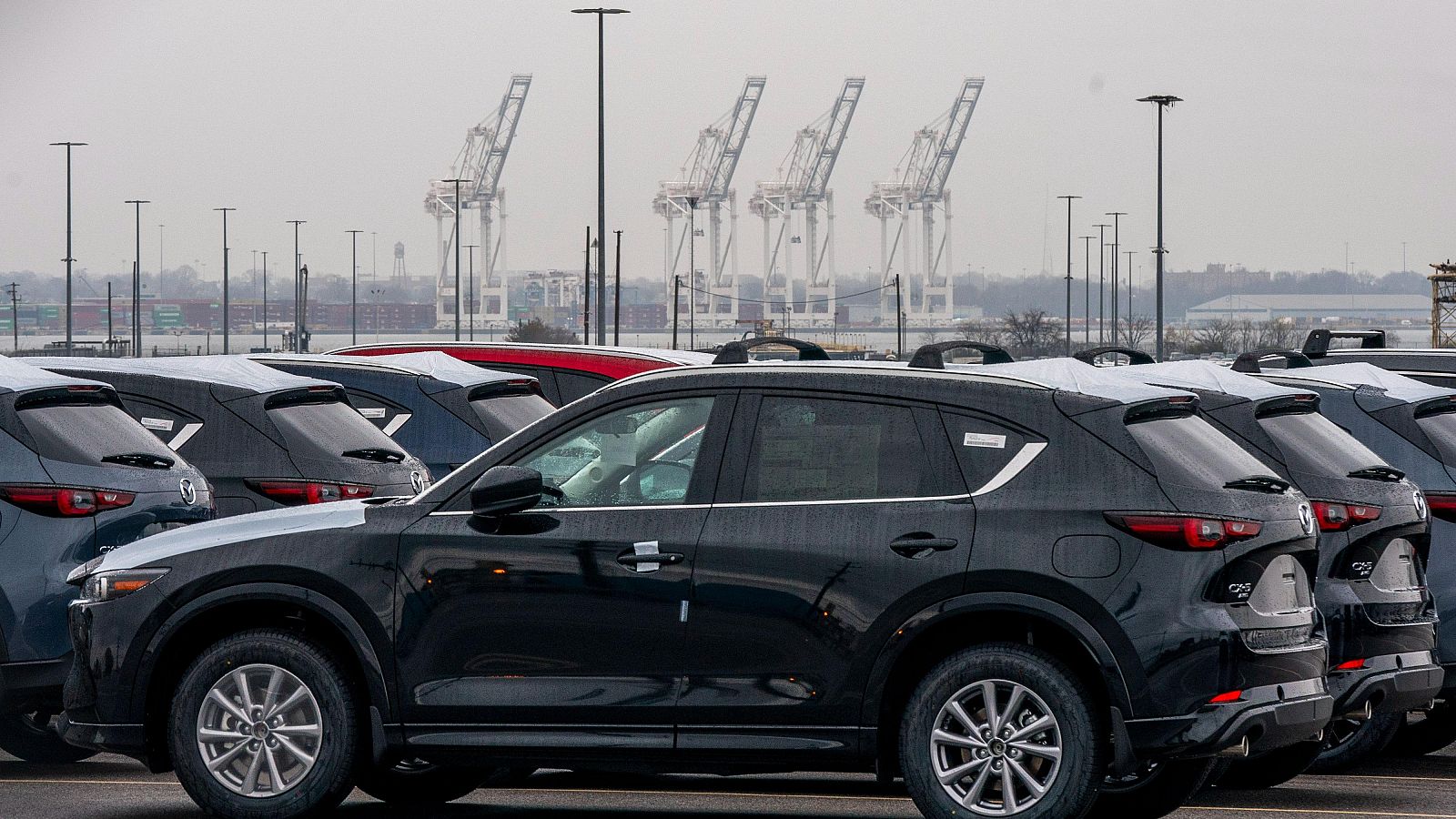 El colapso del puente de Baltimore trae pérdidas milmillonarias | Ver