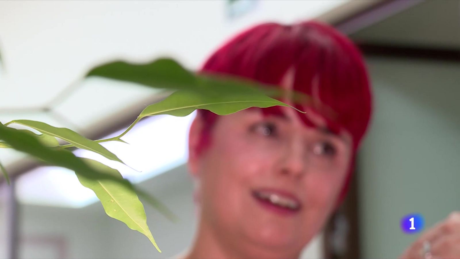 Cáncer de colon: prevención y detección | Ver