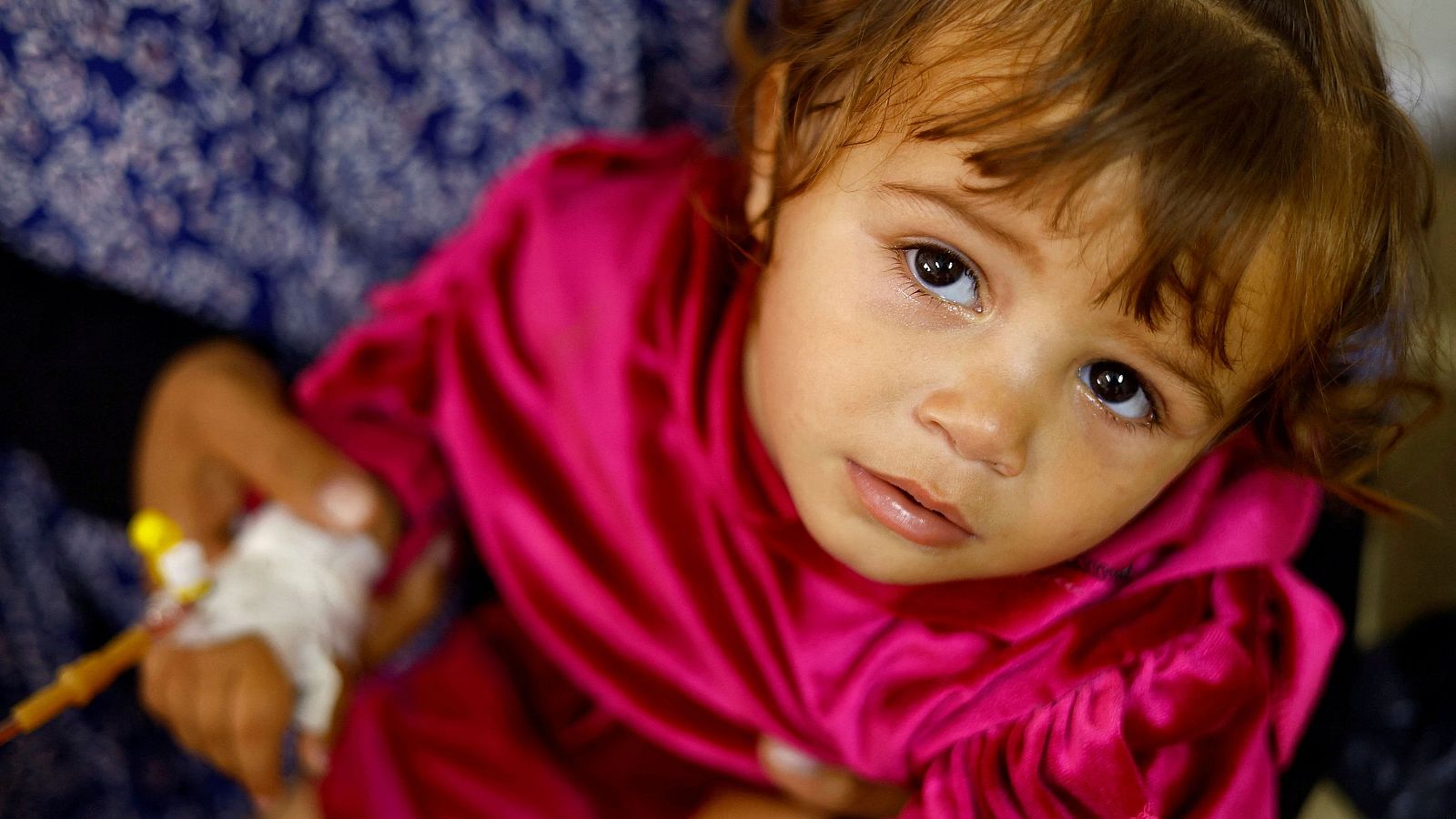 Representante de UNICEF para Palestina: "Nos llaman de hospitales para decirnos que tienen a niños solos" - Telediario Internacional | Ver