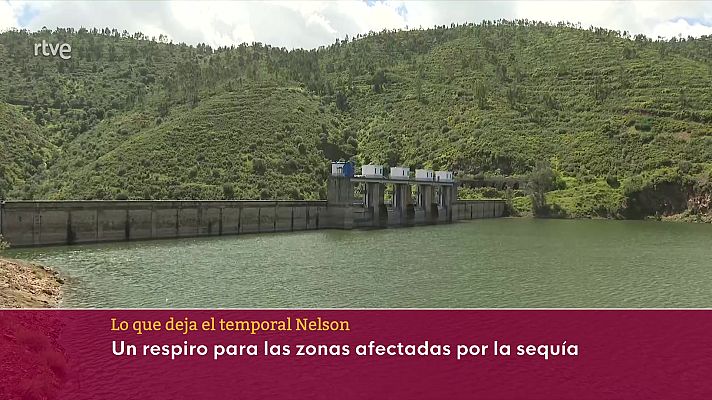 Informativo 24h - Informativo 24 horas - 20h - 01/04/24