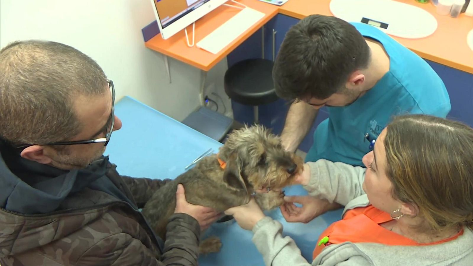 Aquí hay trabajo - 02/04/24 - ver ahora