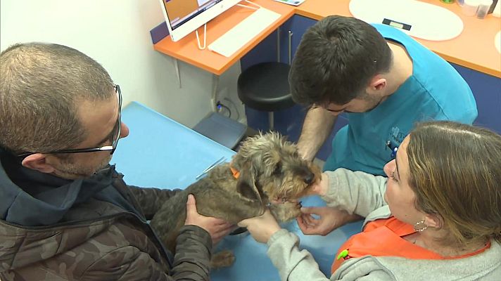 Aquí hay trabajo - Aquí hay trabajo - 02/04/24