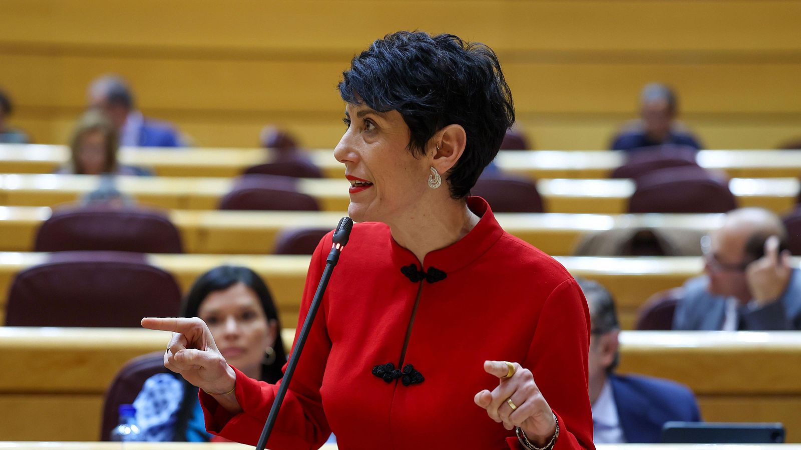 Elma Saiz, ministra de Seguridad Social: "Hoy es un día histórico, se han superado los 21 millones de afiliados" - La noche en 24h | Ver