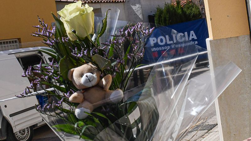 Niño muere apuñalado en un posible caso de violencia vicaria en Girona | Ver