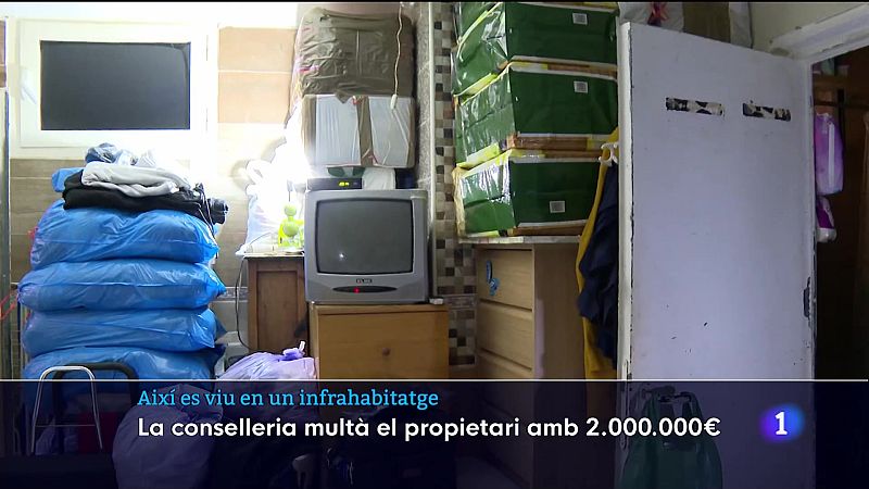 Infrahabitatges a Palma | Ver