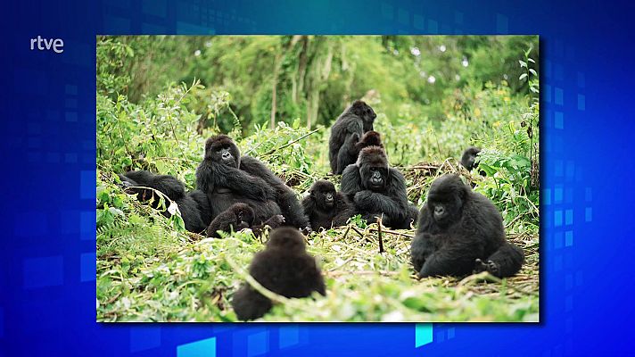 Saber y ganar - Saber y ganar - 03/04/24