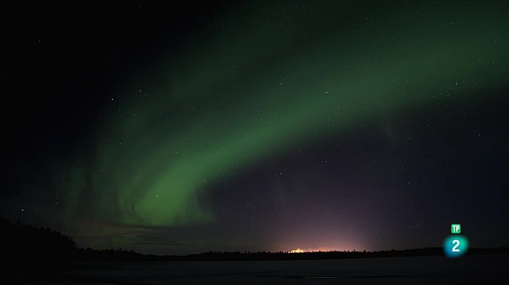 Som Documentals - El mar Bàltic salvatge: Entre Finlàndia i Suècia