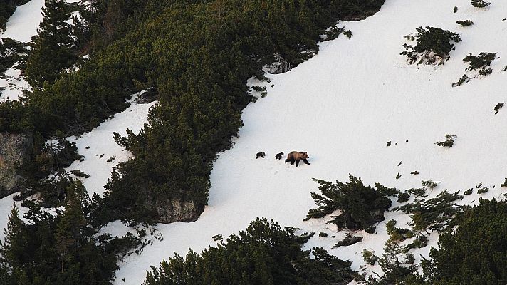 Los montes Tatras - Corazón salvaje