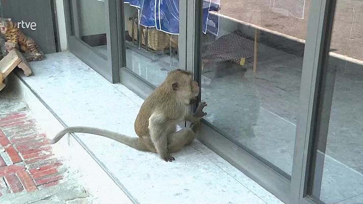 Aquí la Tierra - Aquí la Tierra - 04/04/24