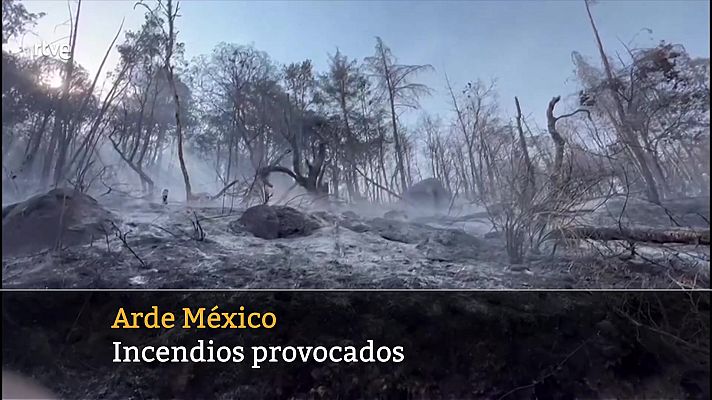 Telediario Internacional - Telediario Internacional - 04/04/24