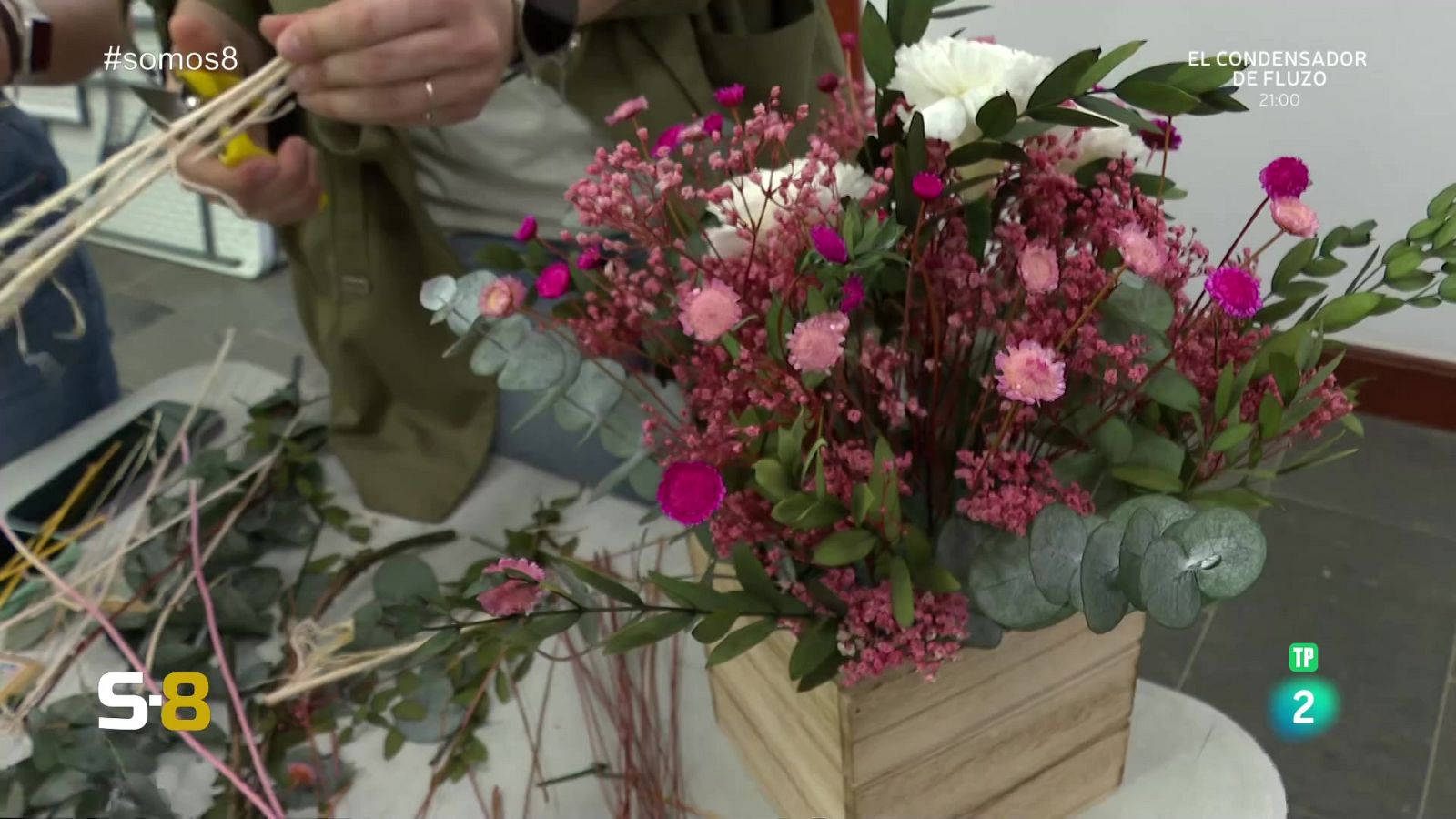 Somos 8 - 04/04/2024 - Somos 8 | Ver