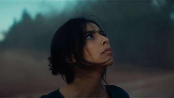 Días de cine - Días de Cine: Animalia