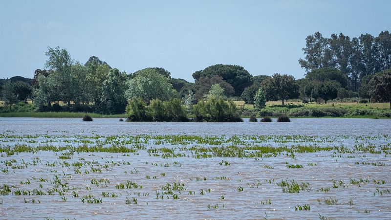 Lluvias en el oeste peninsular y Canarias - El tiempo | Ver