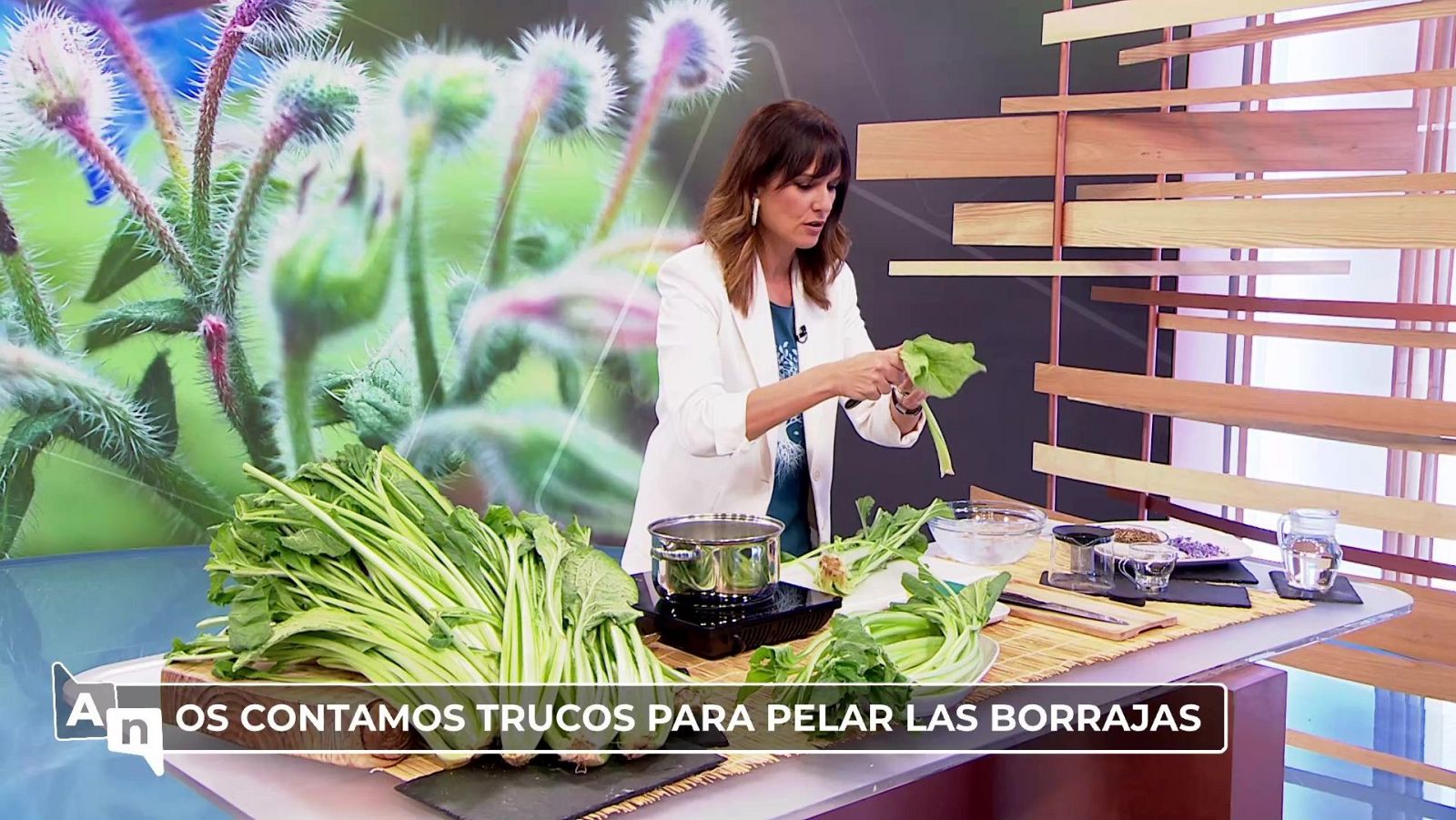 Ahora o nunca - Programa 306 - ver ahora