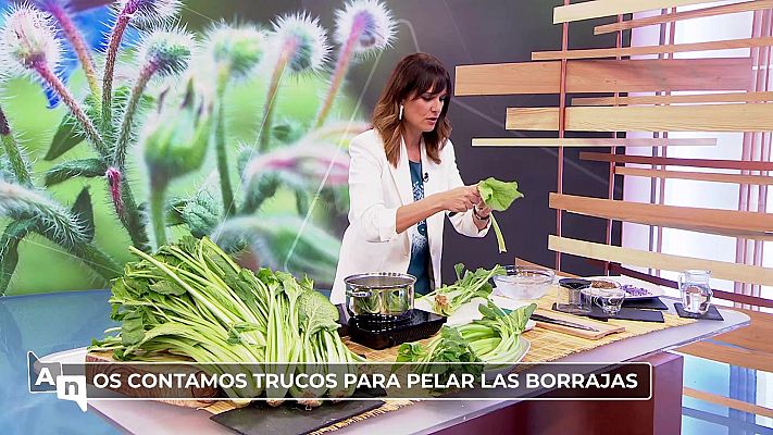 Ahora o nunca - Programa 306