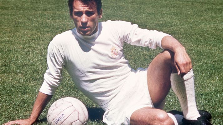 Conexión vintage - Soy Amancio II