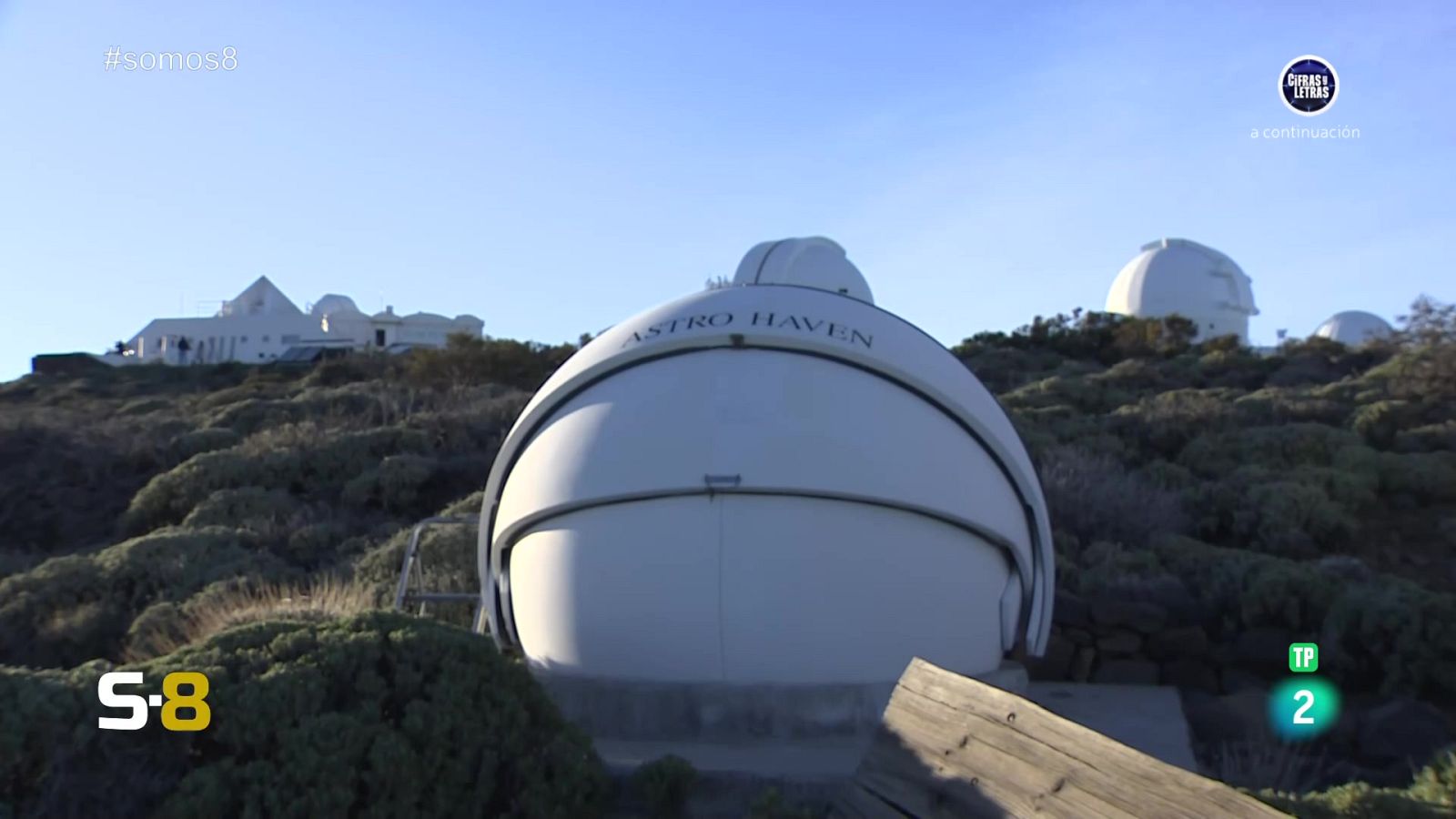 Somos 8 - 08/04/2024 - Somos 8 | Ver