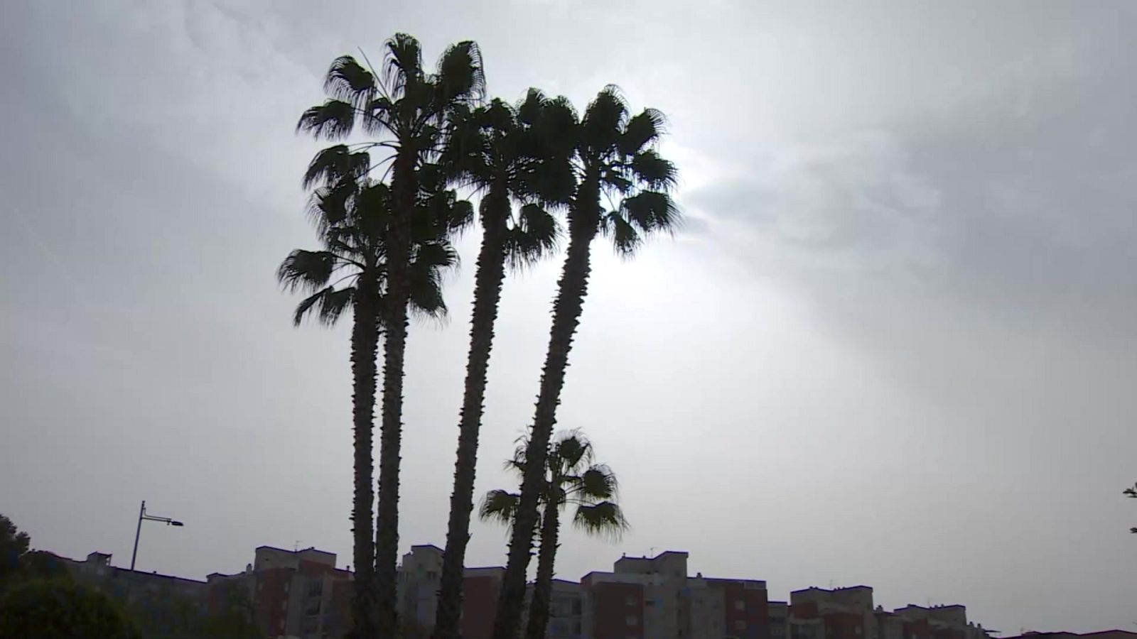 L'Informatiu de la Comunitat Valenciana 1 - 08/04/24 | Ver