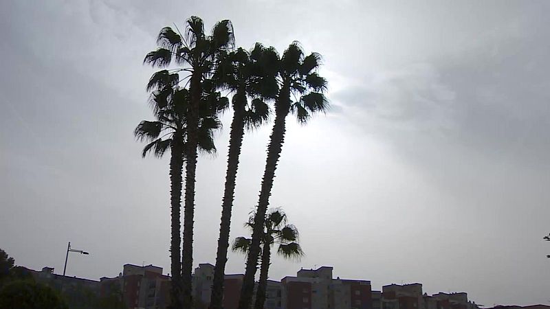 L'Informatiu de la Comunitat Valenciana 1 - 08/04/24 | Ver