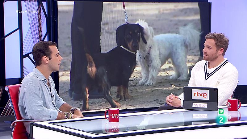 Tomás Palomares. Ley de Bienestar Animal | Ver